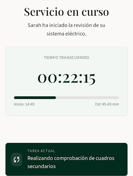 Ejemplo de pantalla de seguimiento en tiempo real de un servicio ANNA, con el tiempo transcurrido y la tarea en curso.